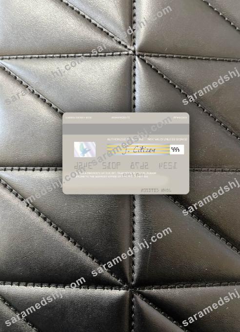Tajikistan IBT visa debit card photolook back
